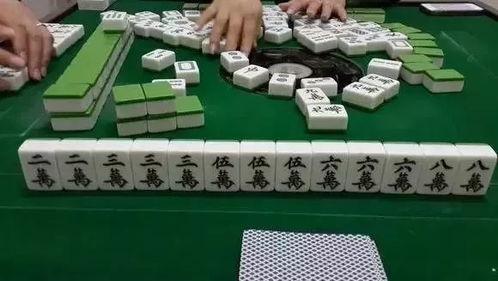 娱乐吃瓜蜀黍麻将,揭秘麻将界的趣味与智慧